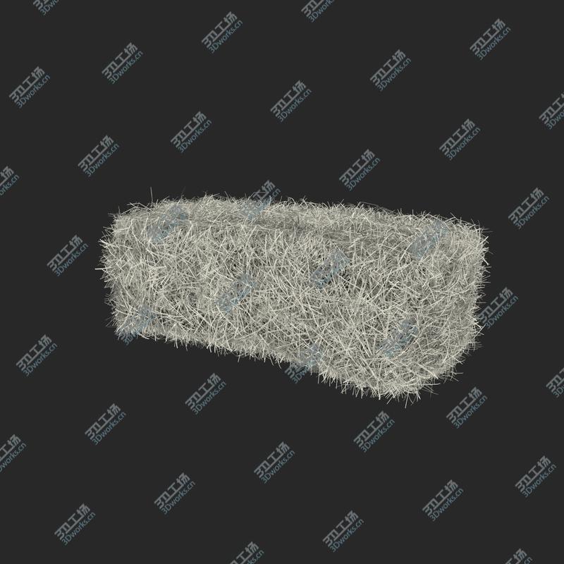 images/goods_img/2021040162/Hay Bale/4.jpg